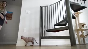 lacielaplante secretary_gone_slutty Адалт вэбкамс чат для бесплатное порно реальный секс