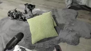 kaileeshy Chaturbate голая webcam реальный секс