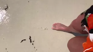 officialsarahdaniel-02-04-2018-2091098-bare t Адалт вэбкамс чат для бесплатное порно реальный секс