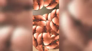 jcakess haha_mesmerizing Адалт вэбкамс чат для бесплатное порно реальный секс