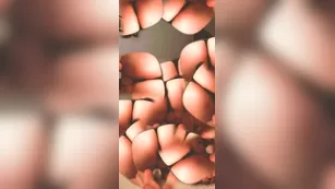 jcakess haha_mesmerizing Адалт вэбкамс чат для бесплатное порно реальный секс