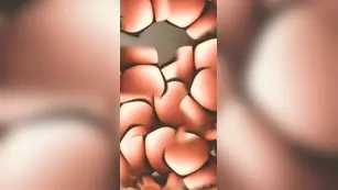 jcakess haha_mesmerizing Адалт вэбкамс чат для бесплатное порно реальный секс