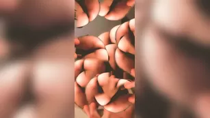 jcakess haha_mesmerizing Адалт вэбкамс чат для бесплатное порно реальный секс