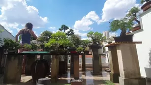 newivy_cb water the trees with me on this sunny sunday Адалт вэбкамс чат для бесплатное порно реальный секс