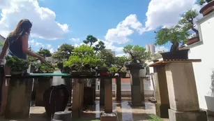 newivy_cb water the trees with me on this sunny sunday Адалт вэбкамс чат для бесплатное порно реальный секс