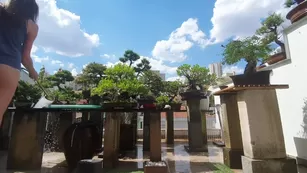 newivy_cb water the trees with me on this sunny sunday Адалт вэбкамс чат для бесплатное порно реальный секс