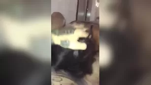 Lena the Plug quick минет порно реальный секс