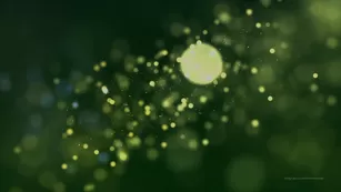 themistressb 420_goddess_worship Адалт вэбкамс чат для бесплатное порно реальный секс